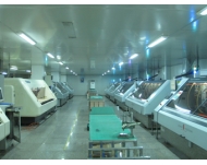 ��·��-����������׳���